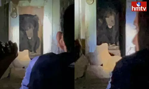 A Captive Bear in the Vicinity of Mahanandi