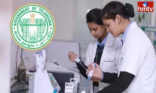 Online Applications Have Started For Multi Purpose Health Assistant Jobs In Telangana Online Applications Have Started For Multi Purpose Health Assistant Jobs In Telangana