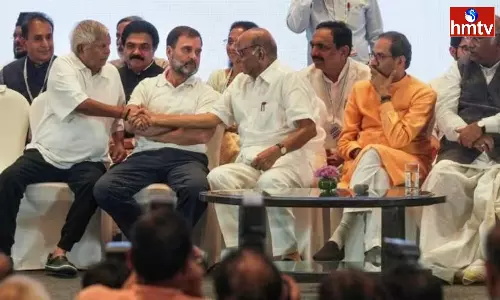 AAP Has Decided To Contest In 13 Lok Sabha Seats In Punjab AAP Has Decided To Contest In 13 Lok Sabha Seats In Punjab