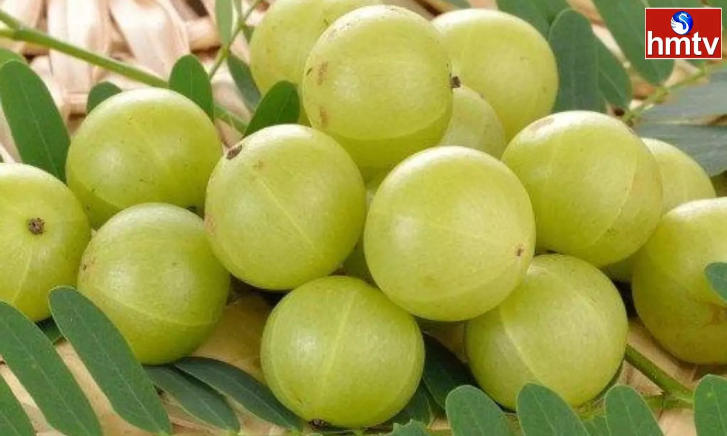 People with these Health Problems should not Eat Amla It will Harm the Body