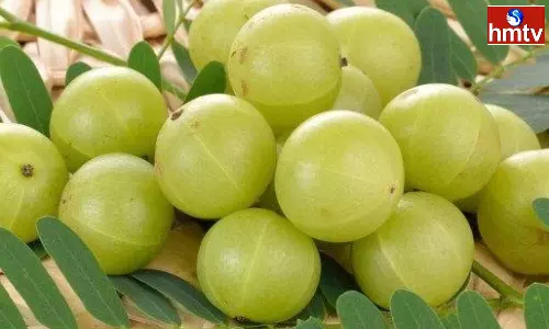 People with these Health Problems should not Eat Amla It will Harm the Body People with these Health Problems should not Eat Amla It will Harm the Body