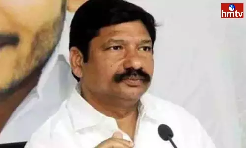 Jogi Ramesh Comments On Pawan Kalyan