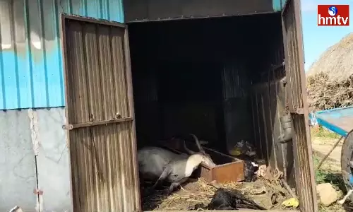 Fire Accident In Kurnool