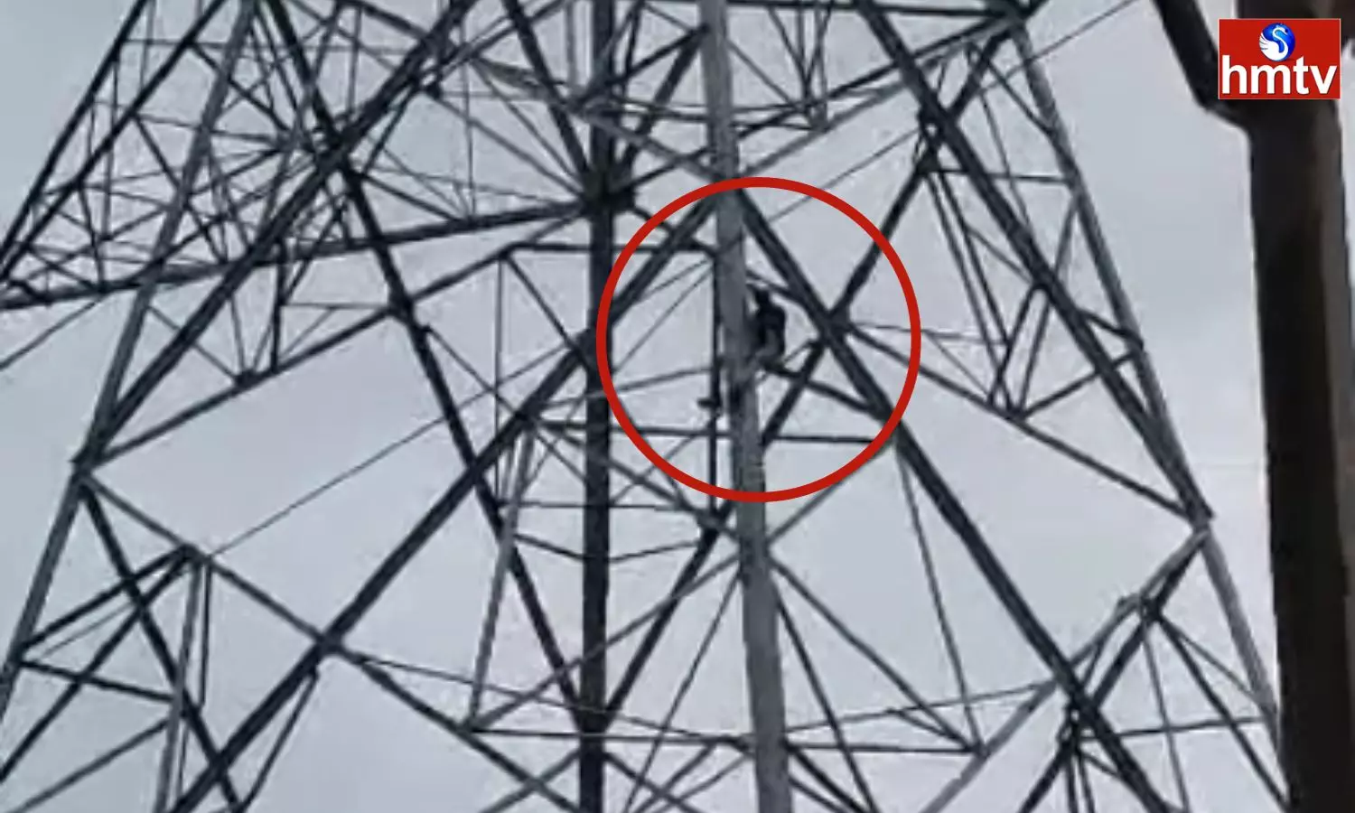 The Husband Climbed The Electricity Tower Because His Wife Was Not Coming To Kapuram