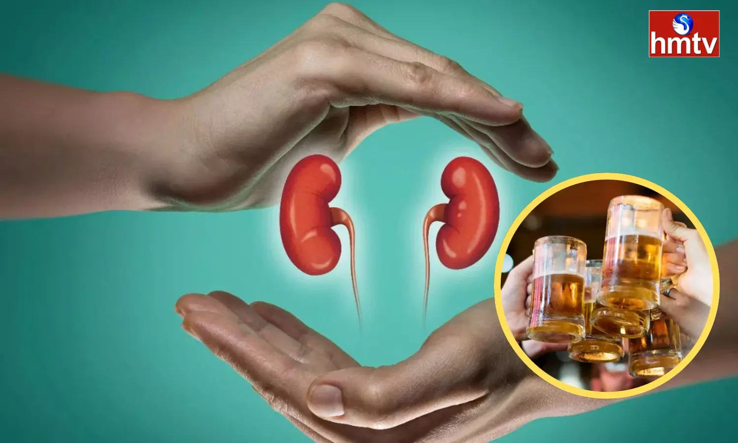 Kidney Patients should stay away from Alcohol otherwise they will have to face Many Health Problems