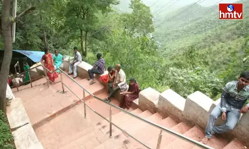 Wildlife Scientists Team To Visit Walkway To Tirumala Wildlife Scientists Team To Visit Walkway To Tirumala