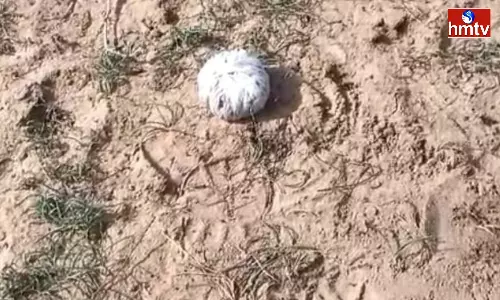 Bomb Found In Jammalamadugu