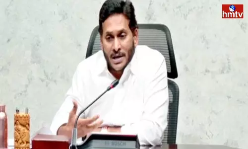 CM Jagan Started Food Processing Industries In AP