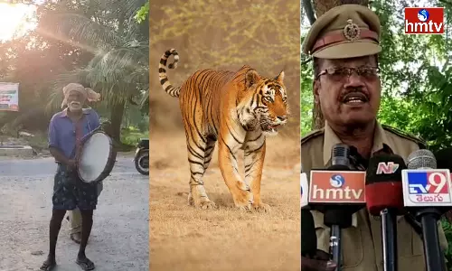 Tiger Roaming In Chittoor District