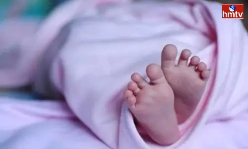 Baby Died in Siddipet District Dubbaka Hospital