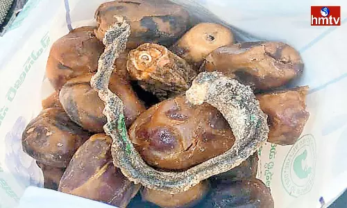 Snake Carcass In Nutritional Food Distributed To Pregnant Women