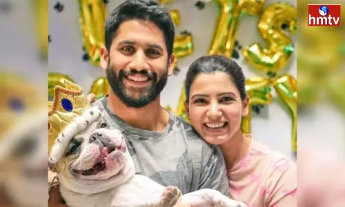 Samantha: సామ్-చై మళ్లీ కలవబోతున్నారా.. ప్యాచప్ వార్తలపై బాంబ్ పేల్చిన సమంత..! Samantha: సామ్-చై మళ్లీ కలవబోతున్నారా.. ప్యాచప్ వార్తలపై బాంబ్ పేల్చిన సమంత..!