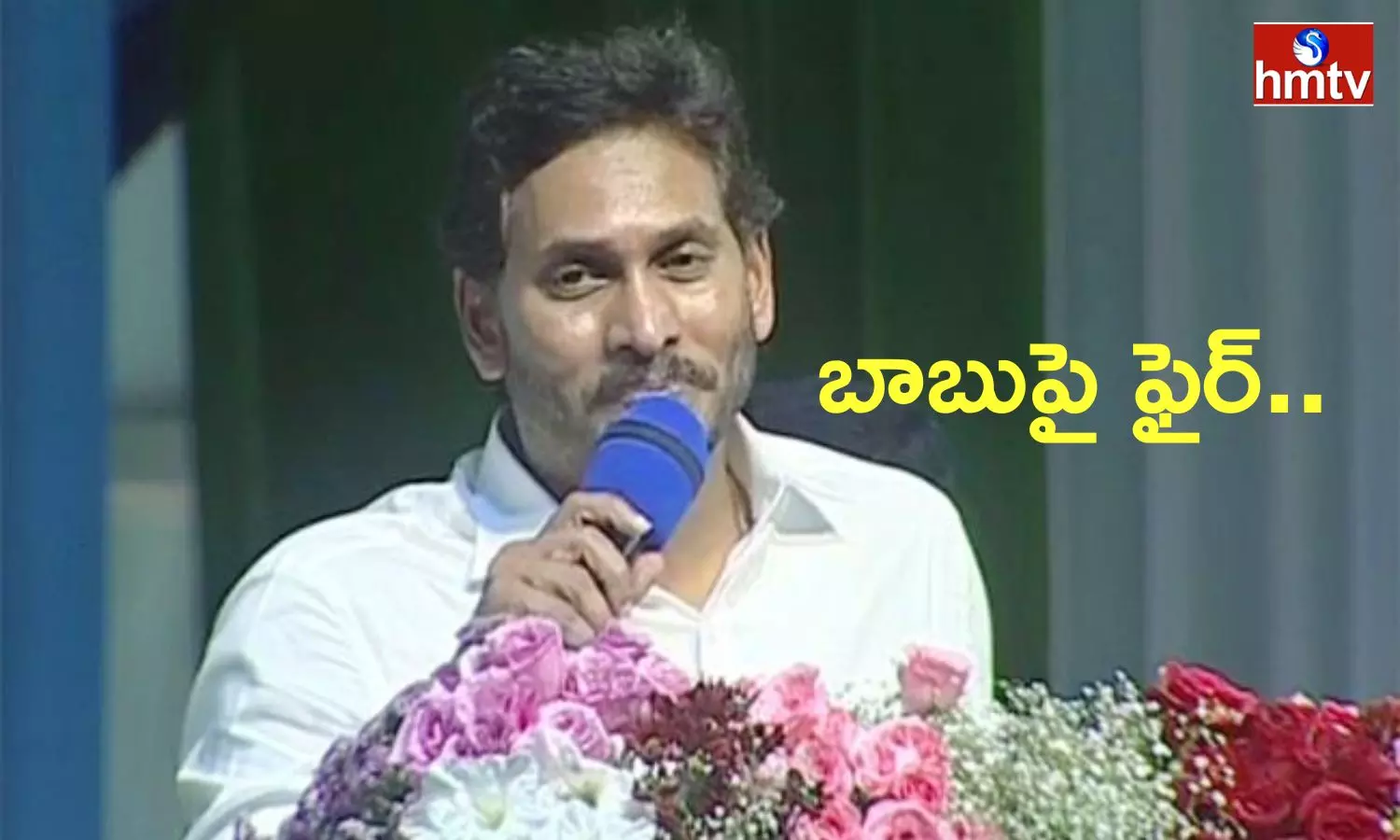 CM Jagan Comments On Chandrababu Naidu