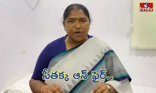 We Will Cancel The Dharani Portal When The Congress Government Come To Power Says Seethakka