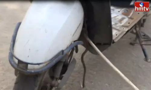 Snake In Scooty At Bhimavaram Snake In Scooty At Bhimavaram
