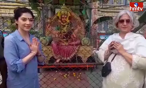 Film actress Mehreen visited Vijayawada Durgamma Temple