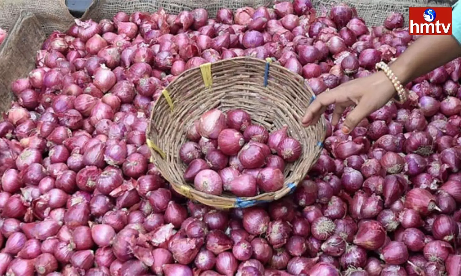 Govt To Sell Onions At Subsidised Rate Of Rs 25 Per Kg After Onion Price Hike