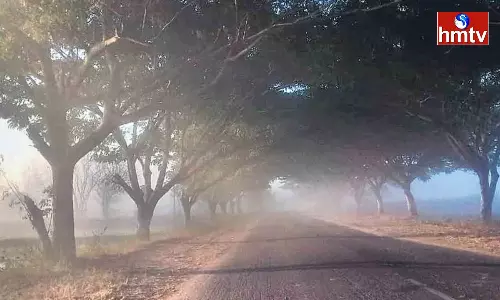 Temperatures Heavily Dropped In Telangana