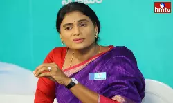 YS Sharmila Is Contesting From  Paleru