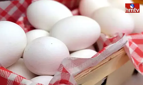 Store Eggs This Way To Keep Them From Spoiling For A Long Time