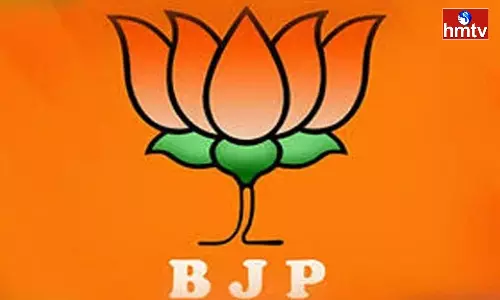 Women Candidates Not Satisfied With Bjp Third List Women Candidates Not Satisfied With Bjp Third List