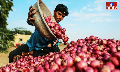 Onion Prices Are Increasing Day By Day Why Is The Government Not Controlling It