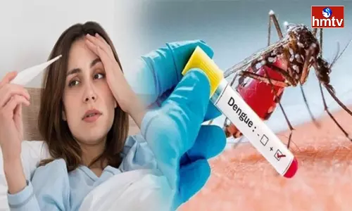 Dont Make These Mistakes When You Get Dengue Platelets Decrease Suddenly