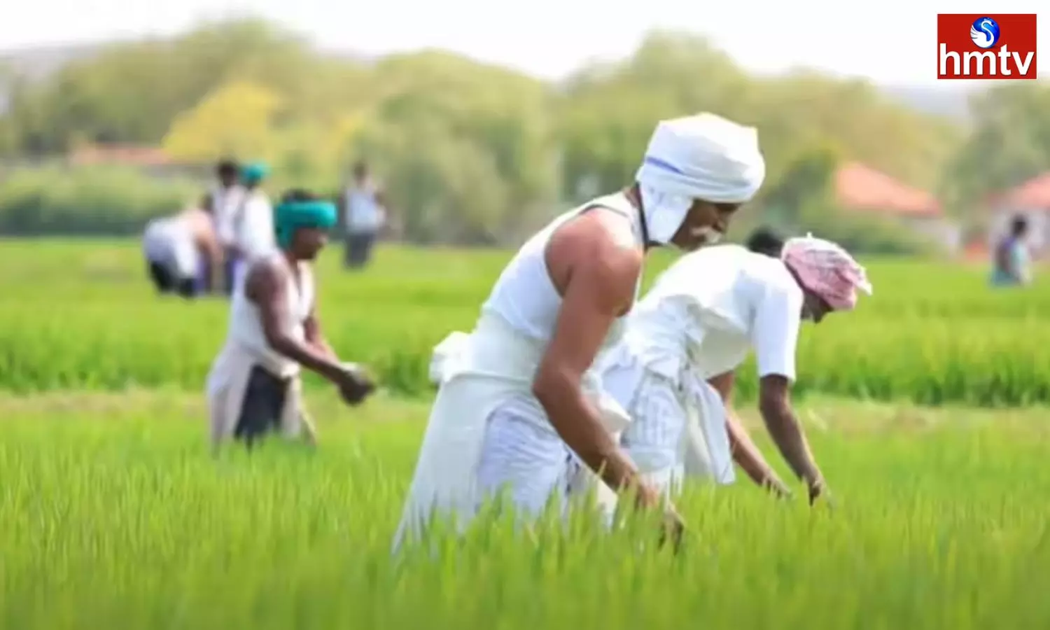 PM Kisan FPO Yojana Gives 15 Lakh Rupees Check Here Full Details and How to Apply