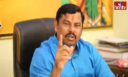 Once Again Raja Singh Controversial Comments