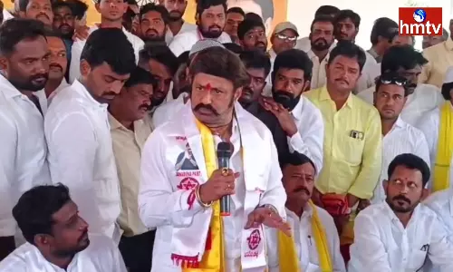 Balakrishna Comments On YCP