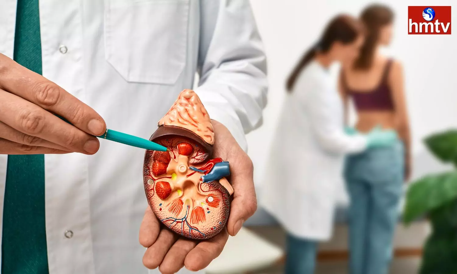 Eating Too Much Of These Foods Can Damage The Kidneys Know About Them