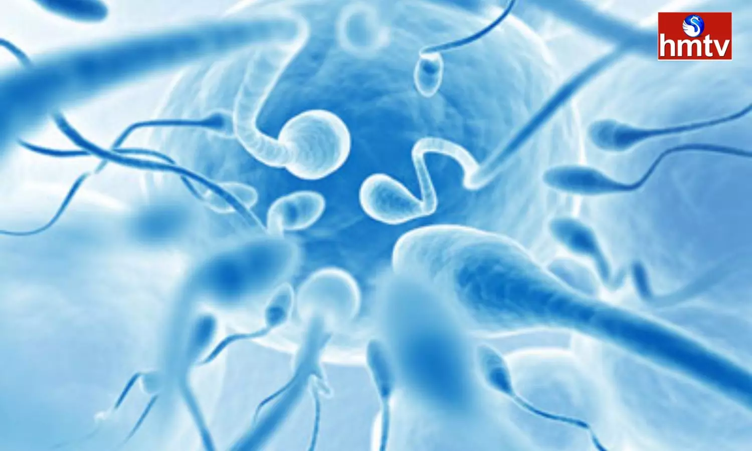 Sperm Count Decreasing Because Of Mobile Phone Says New Research