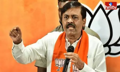 Bjp Mp Gvl Narasimha Rao About Fishing Harbour Fire Accident In Vizag