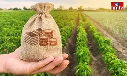 Ec Permission For Release Of Telangana Rythubandhu Funds