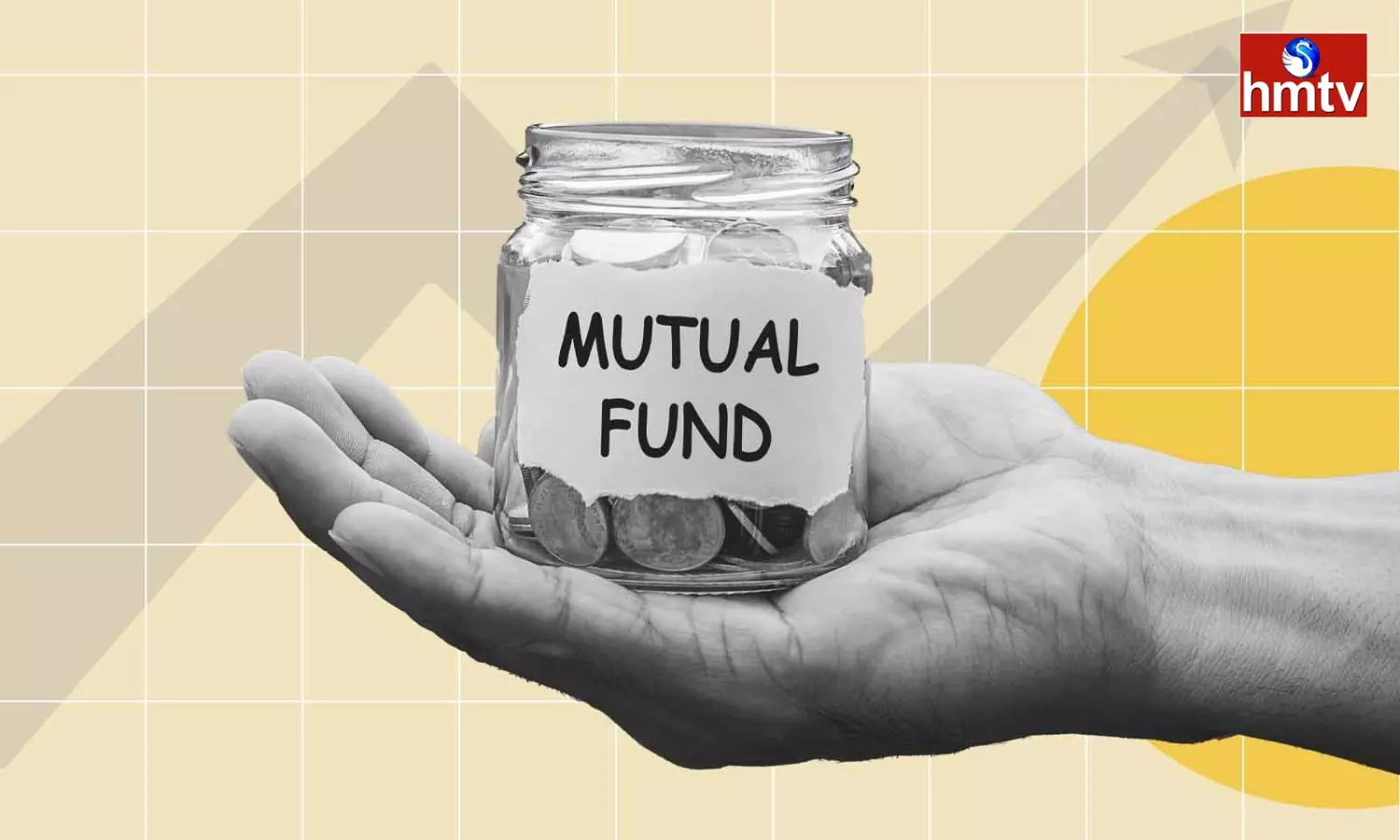 Have You Invested In Mutual Funds What Is The Difference Between Small Cap Mid Cap Large Cap