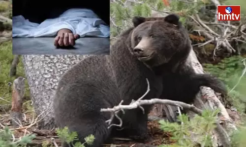 Young Man Died In A Bear Attack In Indira Gandhi Zoo Park In Vizag