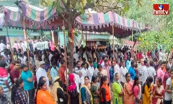 Poll Percentage in Telangana Elections up to 11-am