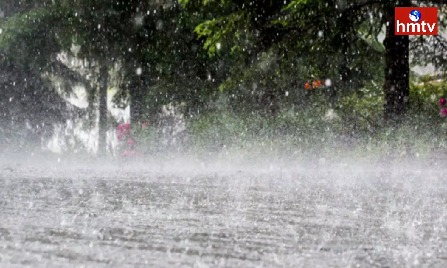IMD Rains Forecast In Andhra Pradesh Districts