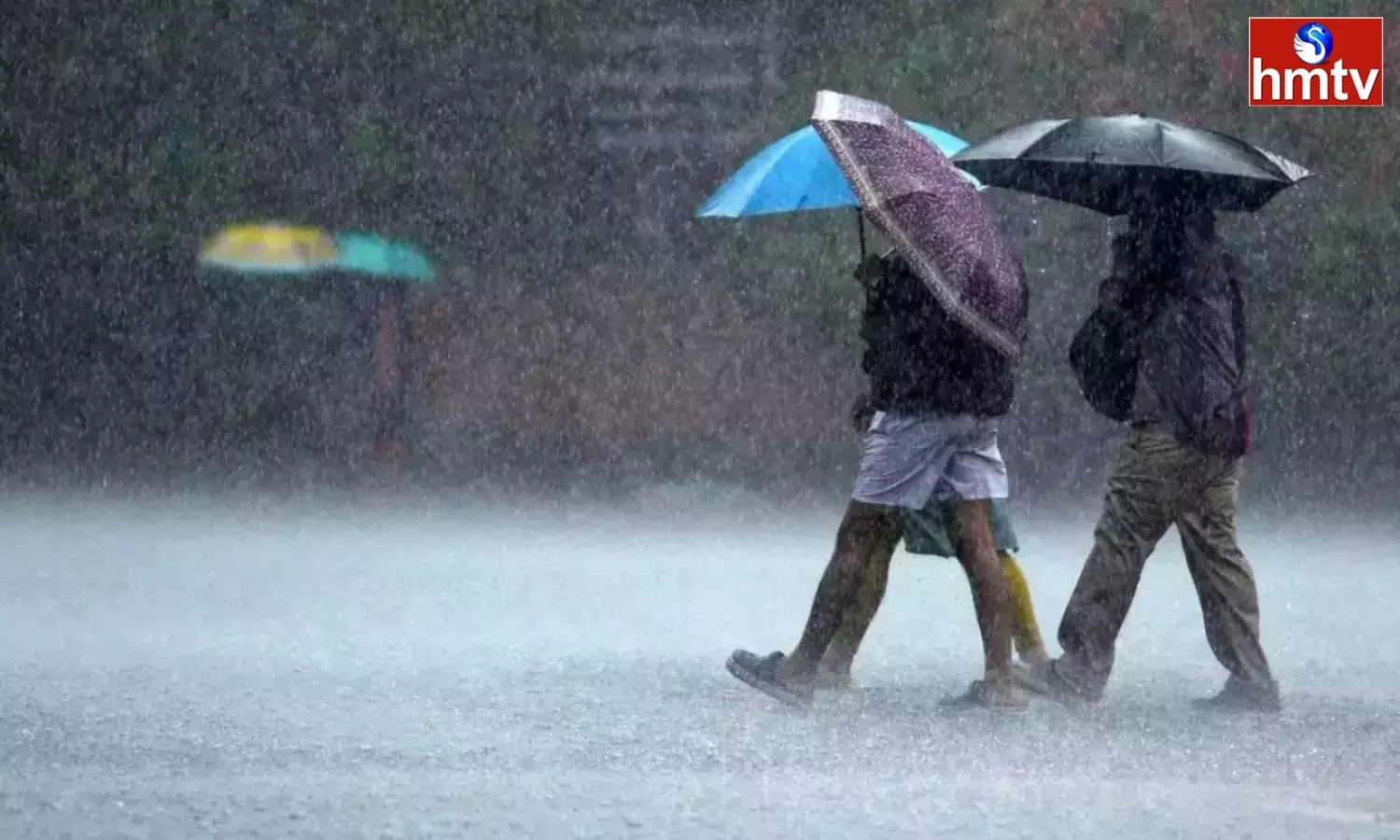 Heavy Rains Under The Influence Of Cyclone Michaung