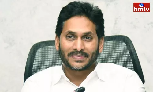 CM Jagan Video Conference With Collectors On Storm