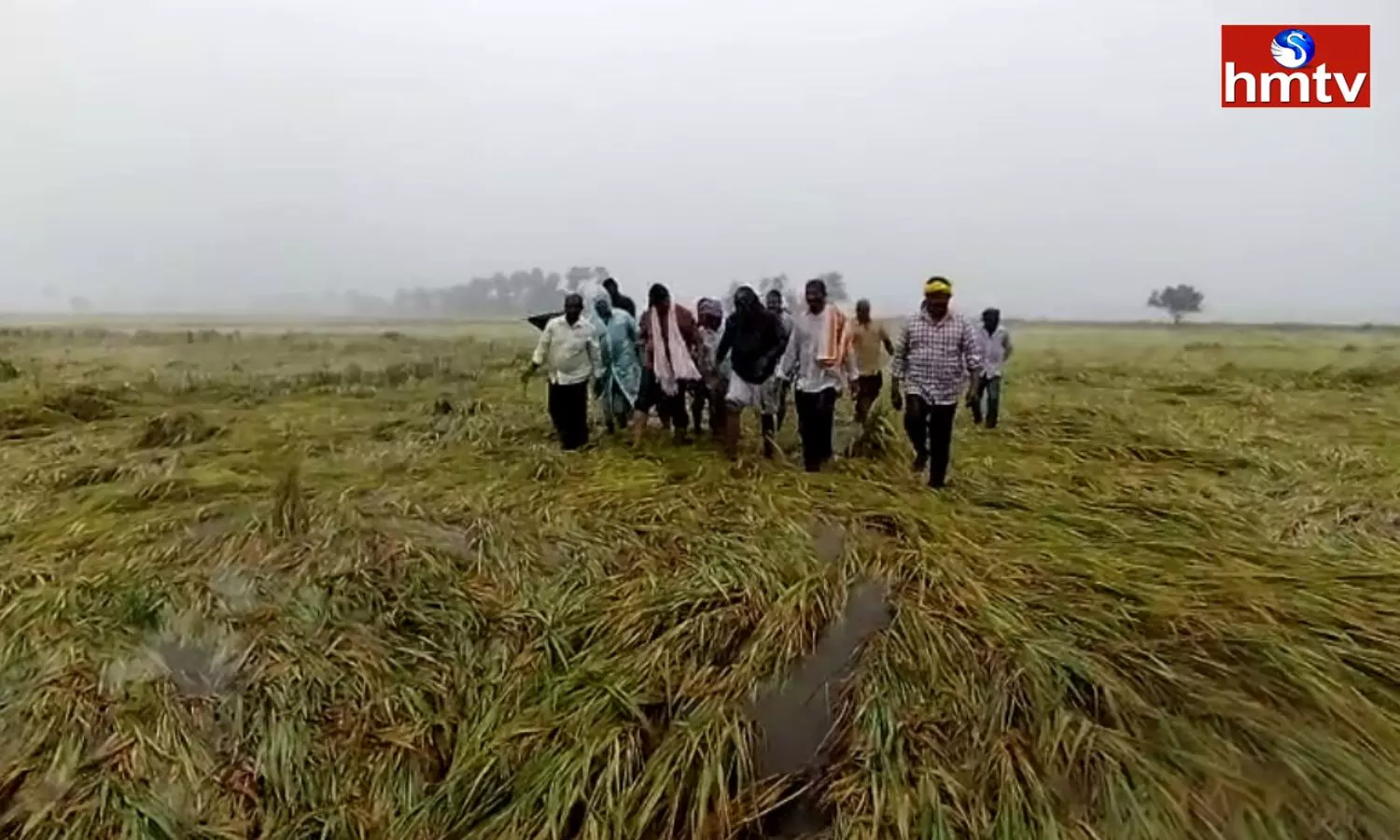 Submerged crop Fields In Ponnur In Guntur