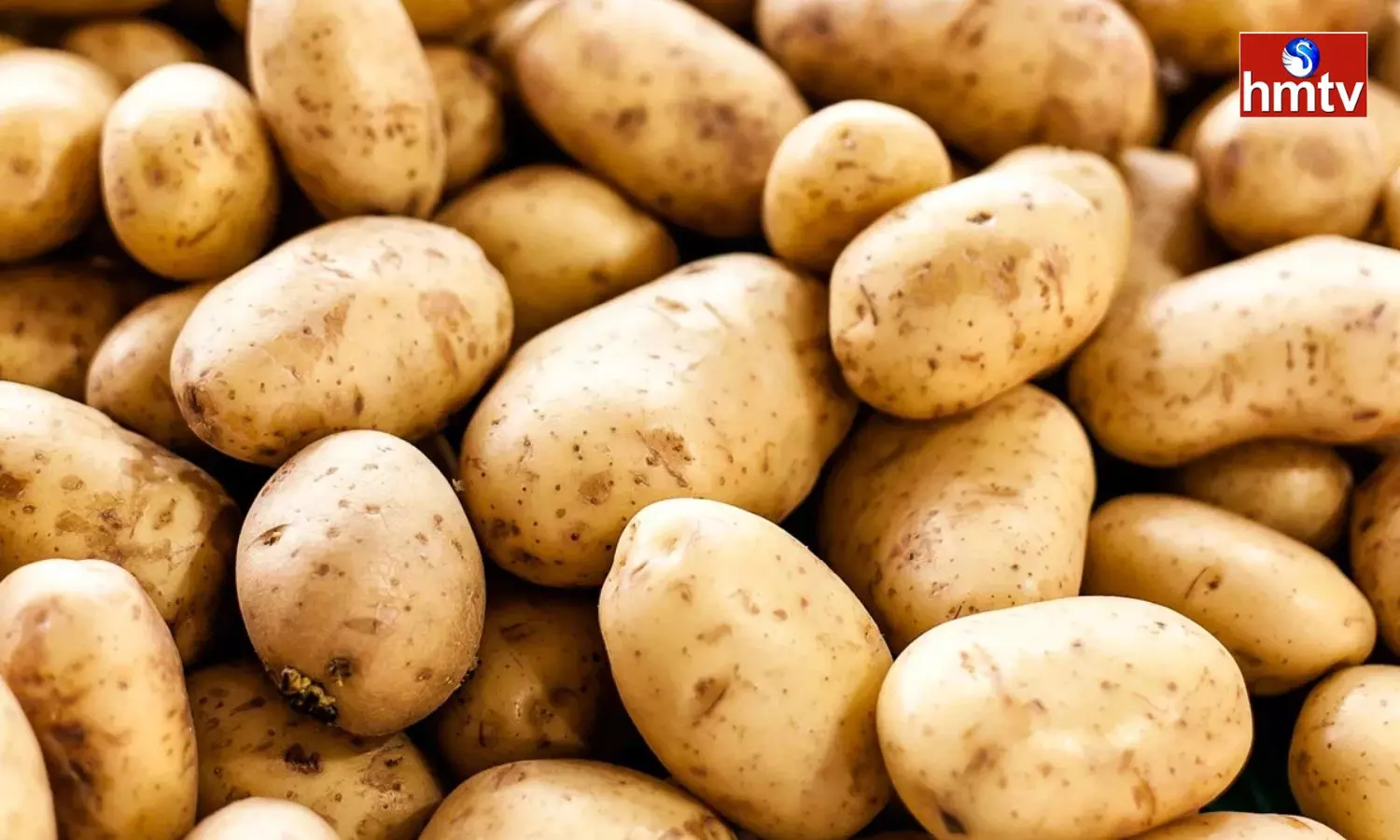 Are You Eating Too Many Potatoes Find Out What The Experts Say