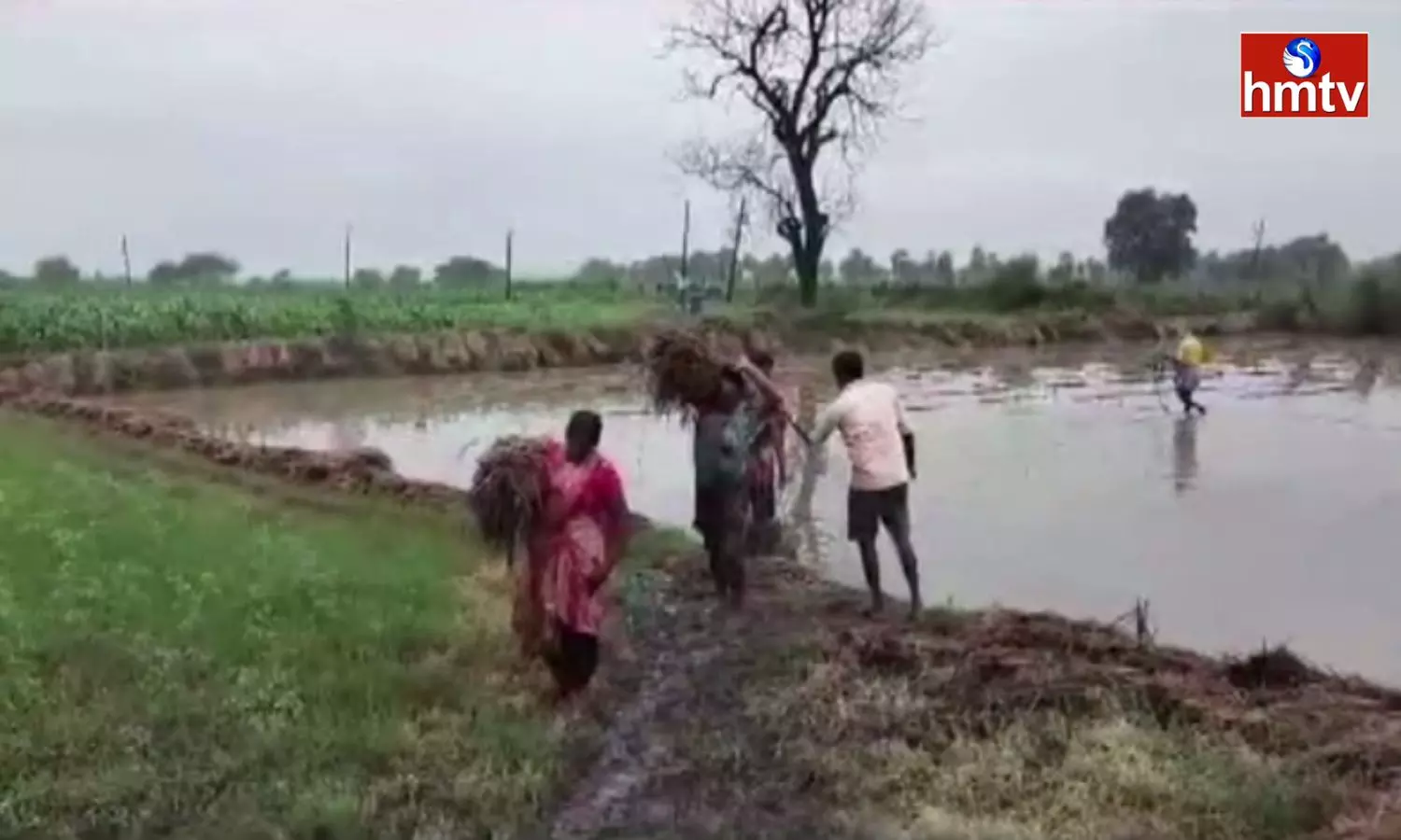 Heavy Rains In Bhadradri Kothagudem