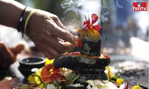 Unmarried Girls are Said not to Touch Shivalinga Find out the Reasons for This