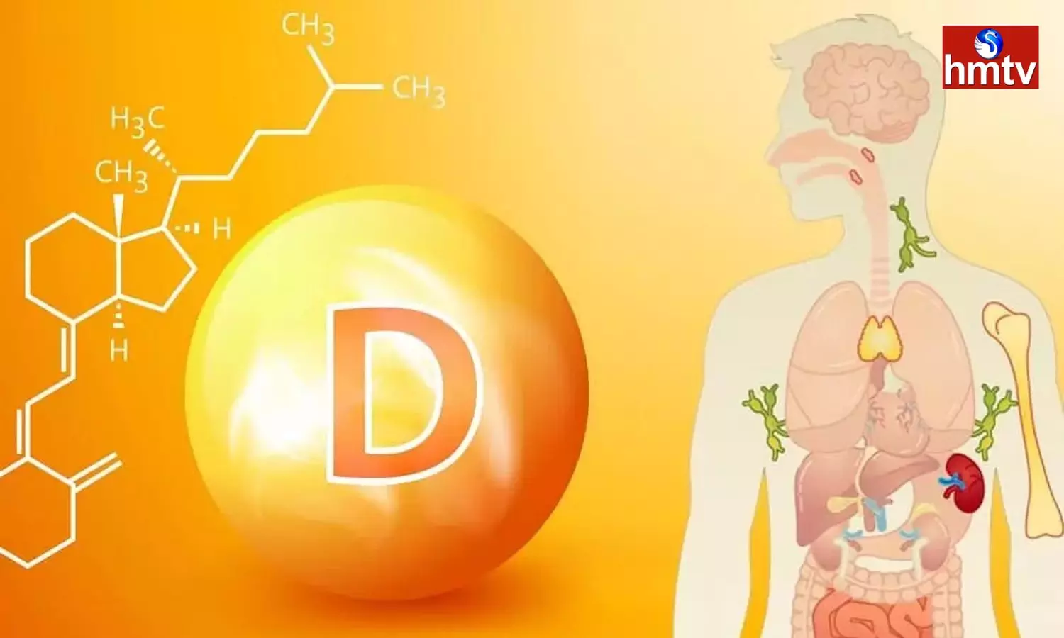 Bones Become Hollow Due To Vitamin D Deficiency Know The Symptoms Of Vitamin D Deficiency In The Body