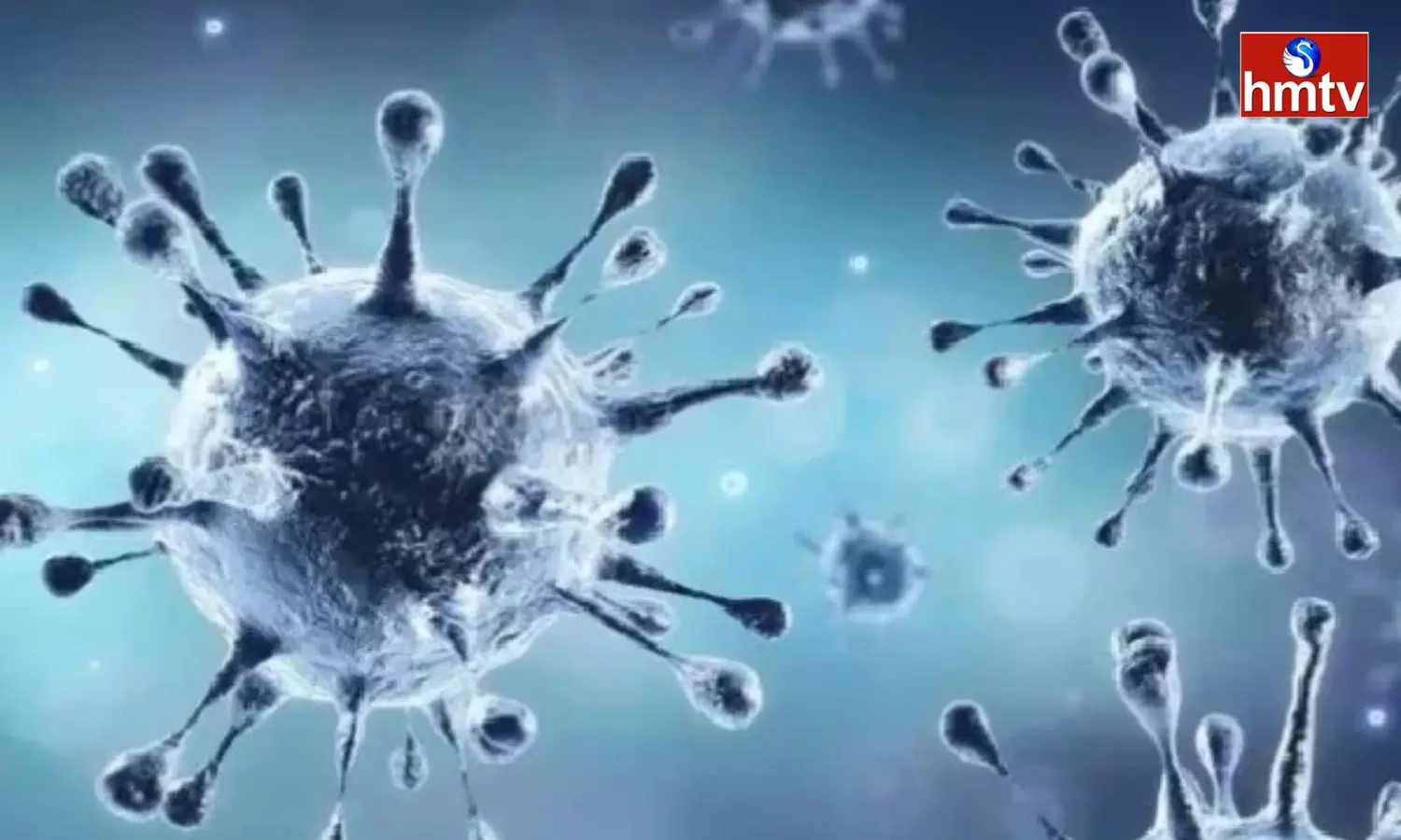 Corona Cases Are Increasing Again In India Corona Cases Are Increasing Again In India