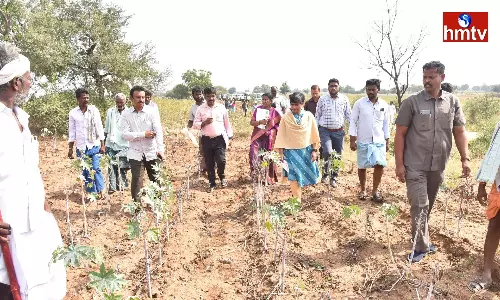 Central Drought Team Visit To Pattikonda In Kurnool District