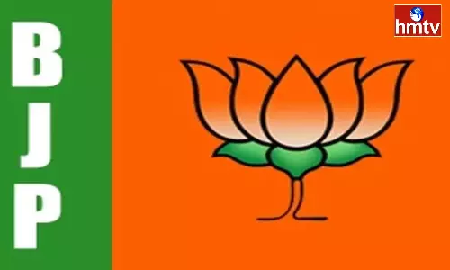 BJP Master Plan is to Target Parliament Elections