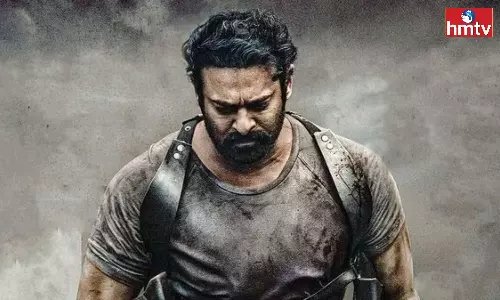 Salaar Movie Had No Promotions