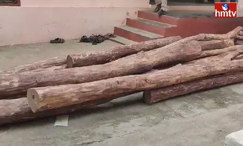 Police Arrested Red Sandalwood Smugglers In Tirupati District Police Arrested Red Sandalwood Smugglers In Tirupati District